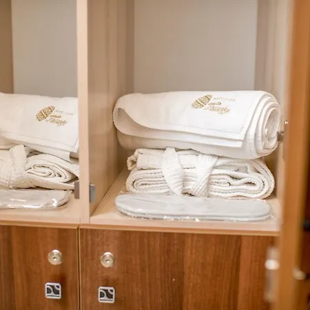 Hotel&spa Pysanka, писанка, 3 сауни та джакузі - індивідуальний відпочинок у Hotel Lemberg